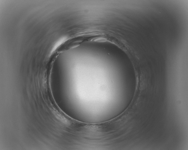 X0000077331450200610271724
