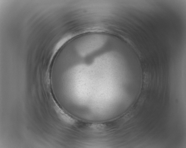 X0000077331466200610271723
