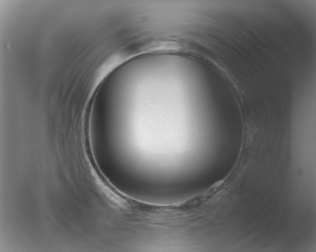 X0000077331475200610271723