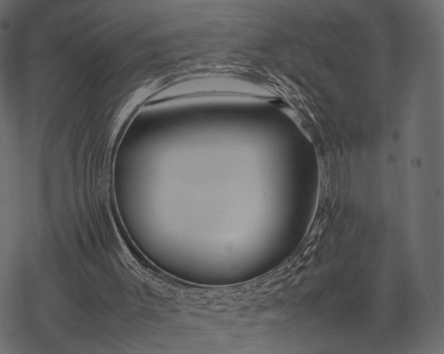 X0000077330003200611031742