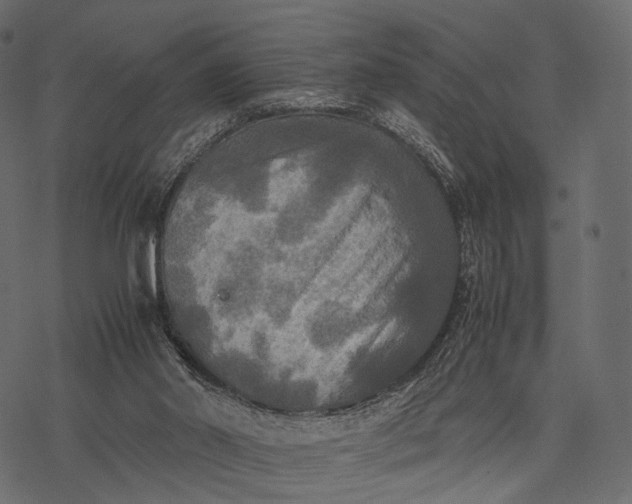 X0000077330014200611031742