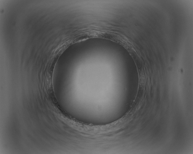 X0000077330043200611031741
