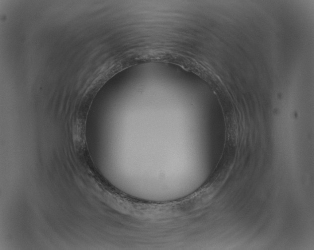 X0000077330044200611031741