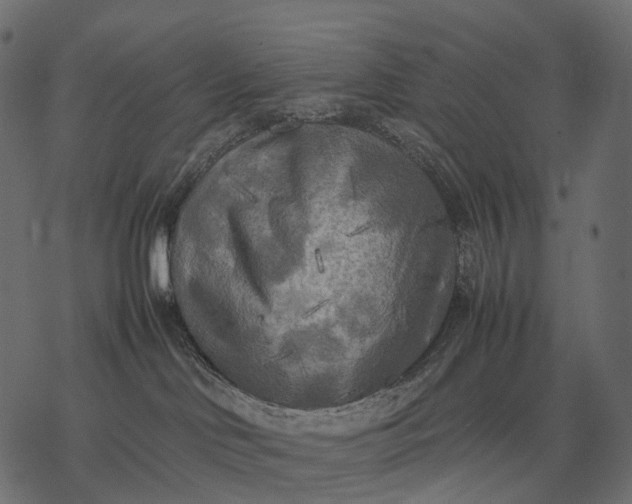 X0000077330046200611031741