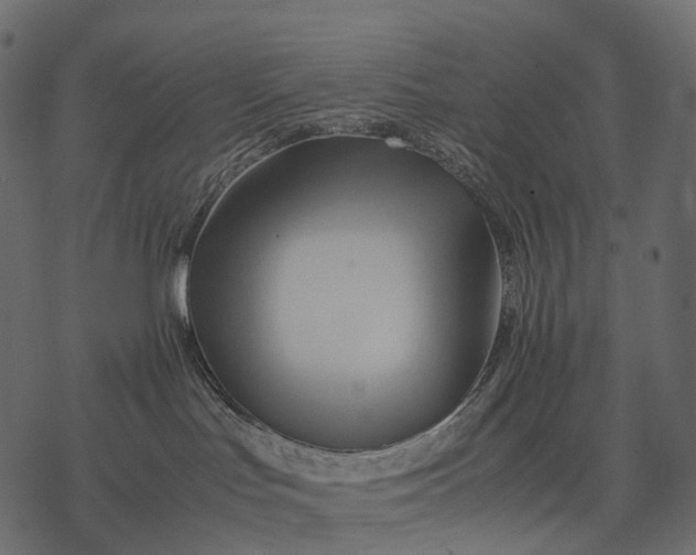 X0000077330047200611031741