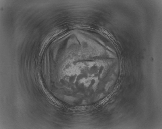 X0000077330049200611031740
