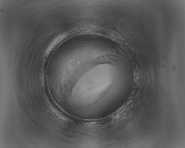 X0000077330054200611031741