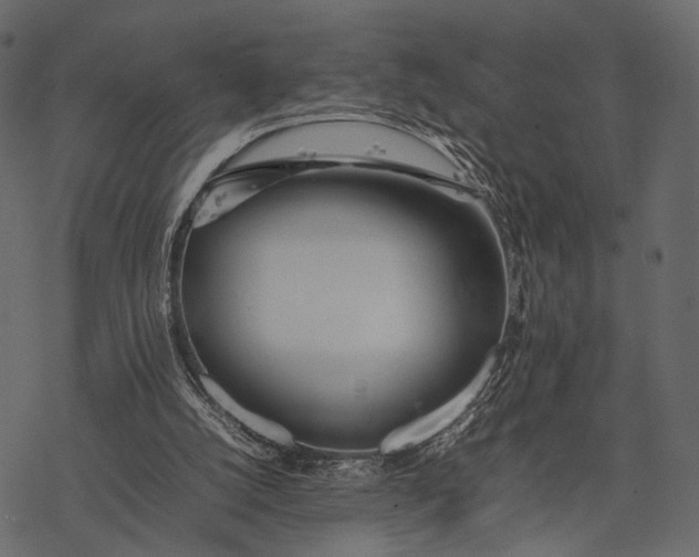 X0000077330056200611031741