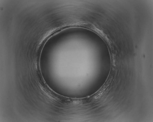 X0000077330060200611031741