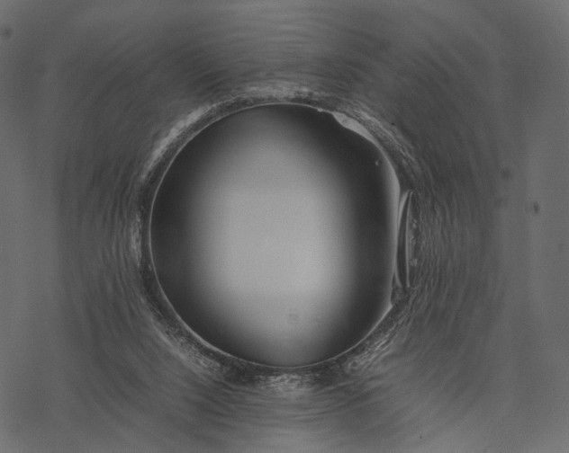 X0000077330064200611031741