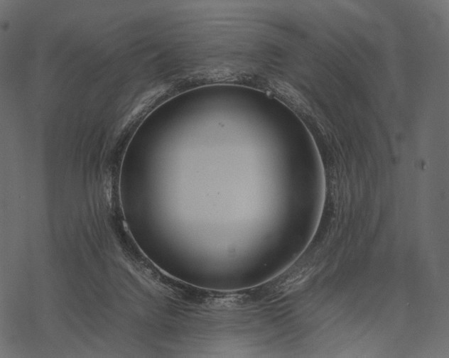 X0000077330072200611031741