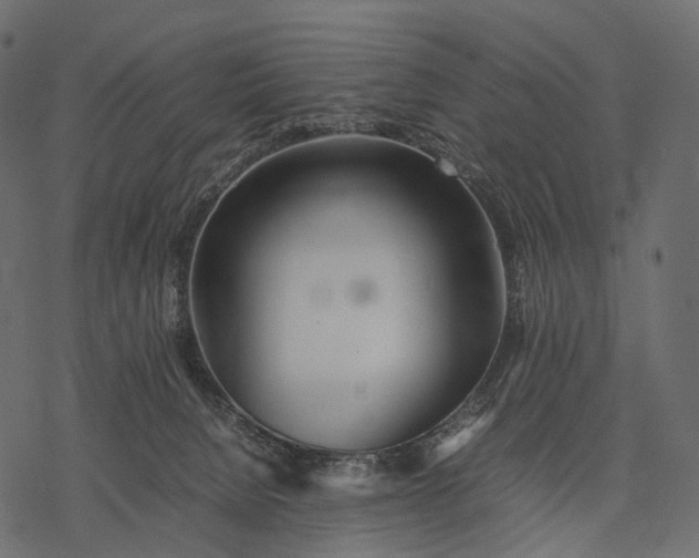 X0000077330080200611031741