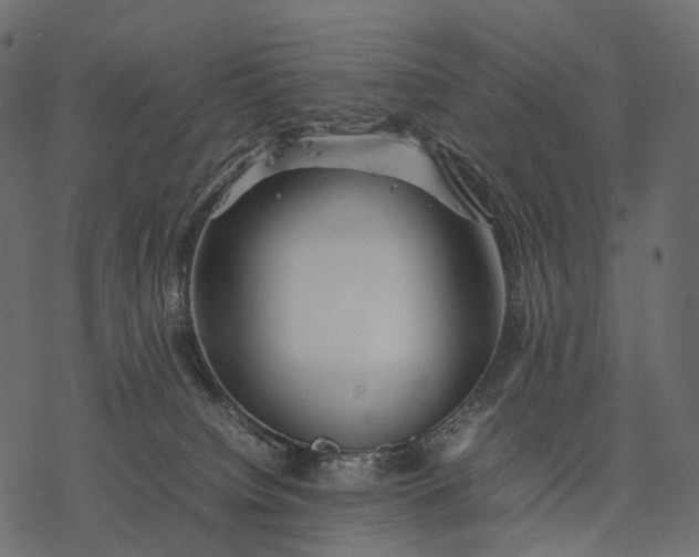 X0000077330084200611031741