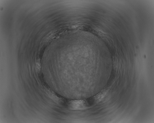 X0000077330085200611031741