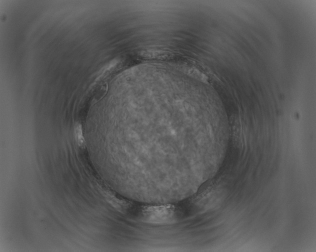 X0000077330089200611031741