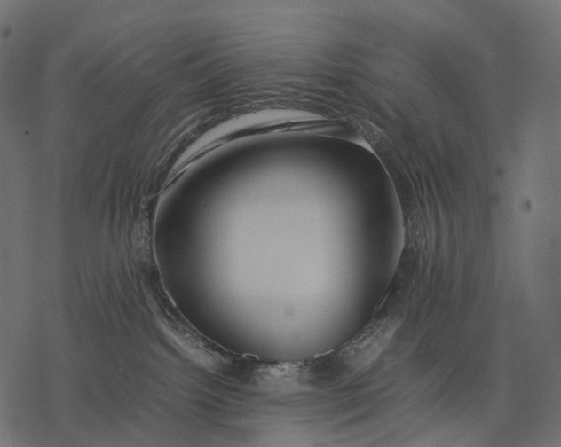 X0000077330092200611031741