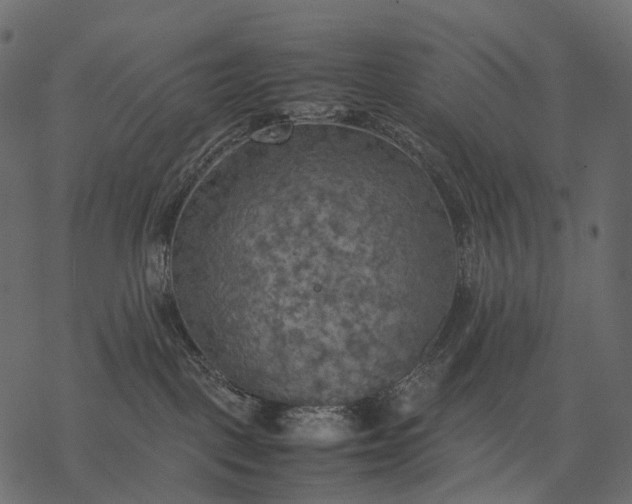 X0000077330093200611031741