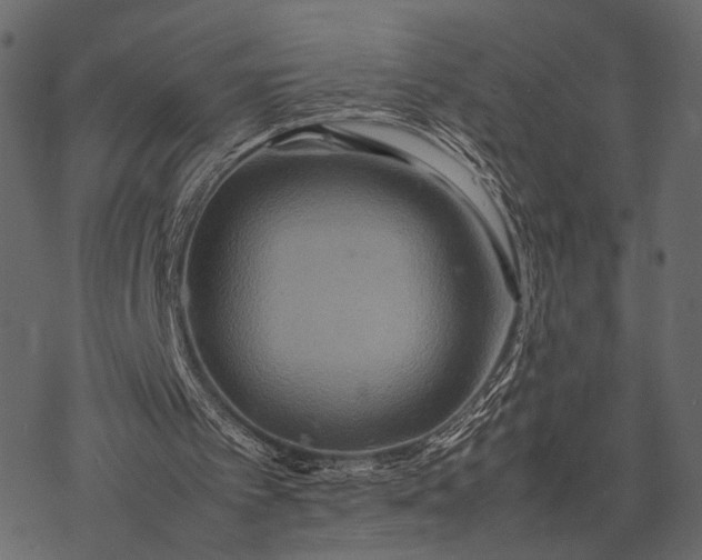 X0000077330097200611031740
