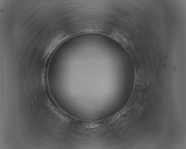 X0000077330098200611031740