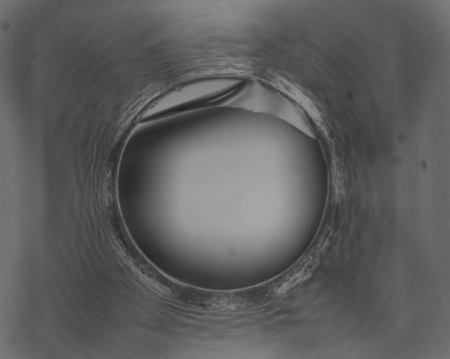 X0000077330105200611031740