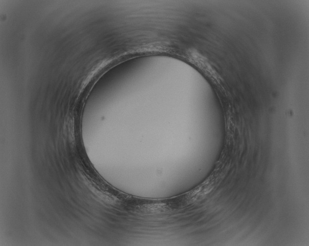 X0000077330108200611031740