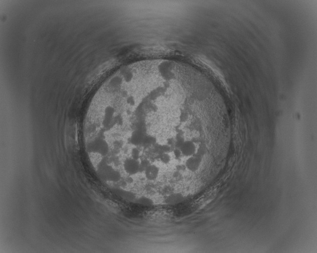 X0000077330115200611031740