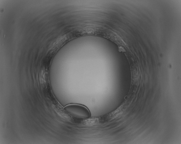 X0000077330126200611031740