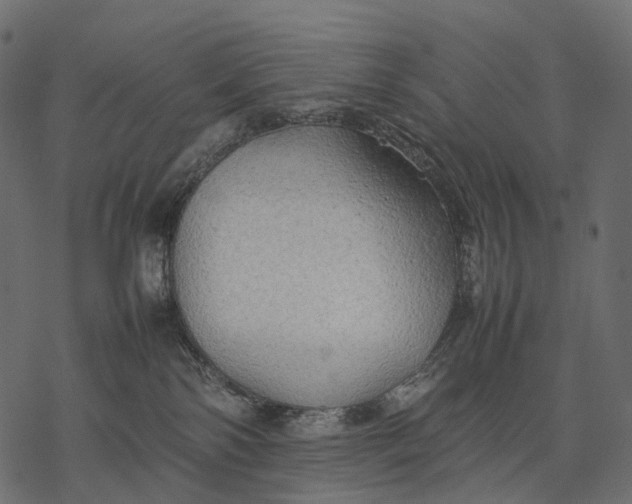 X0000077330138200611031740