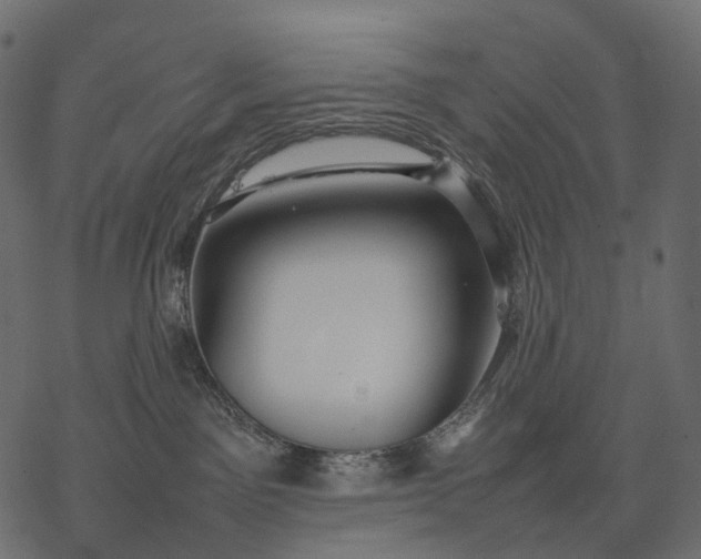 X0000077330141200611031740