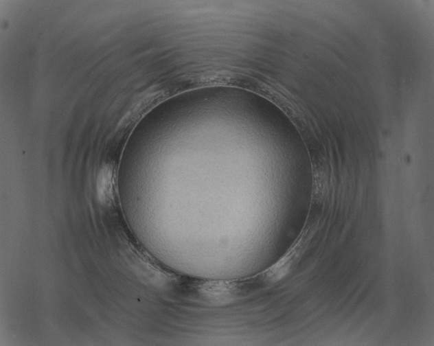 X0000077330142200611031740