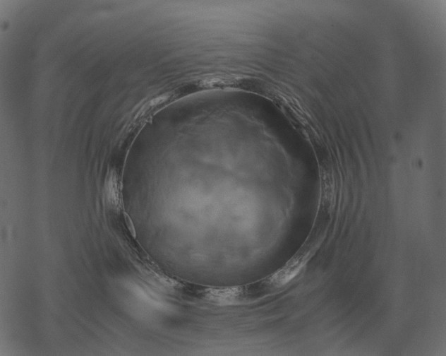 X0000077330143200611031740