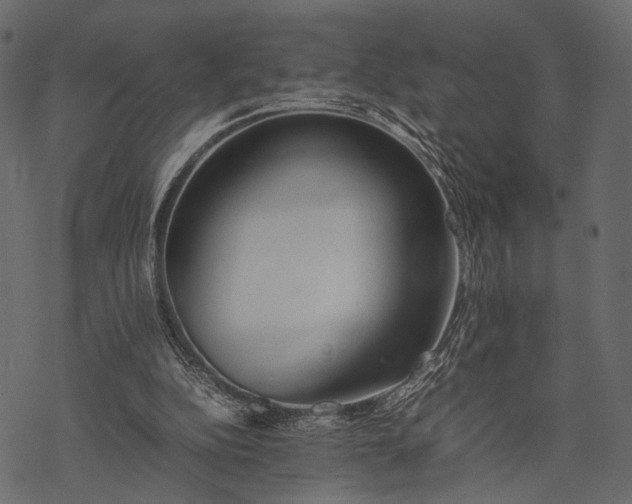 X0000077330152200611031739