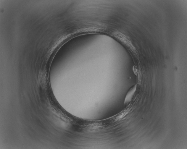 X0000077330156200611031739