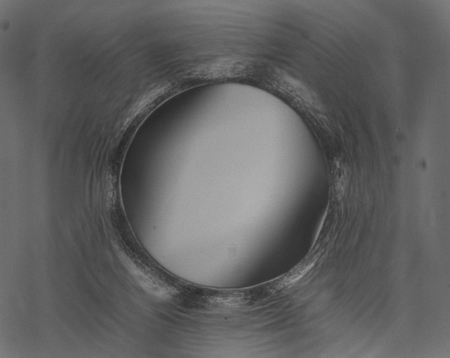X0000077330164200611031739