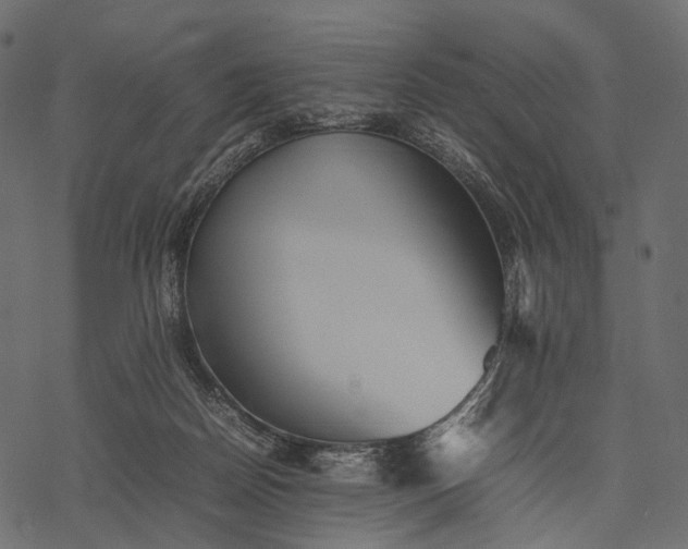 X0000077330170200611031739