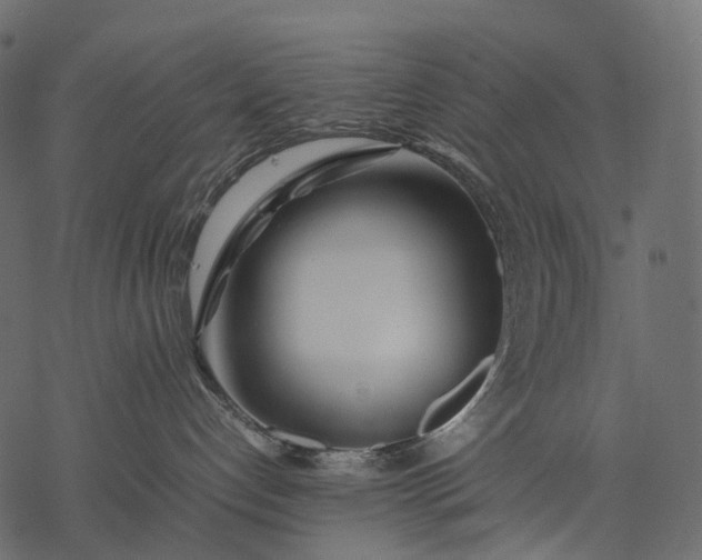 X0000077330192200611031740