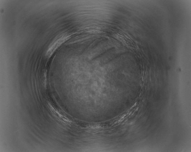 X0000077330194200611031739