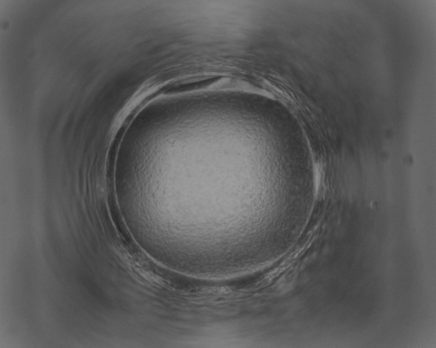 X0000077330195200611031739