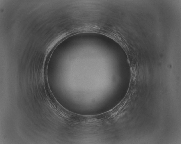 X0000077330196200611031739
