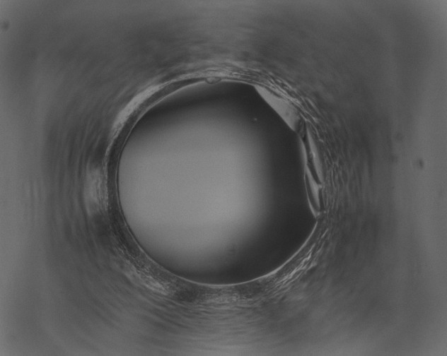X0000077330200200611031739