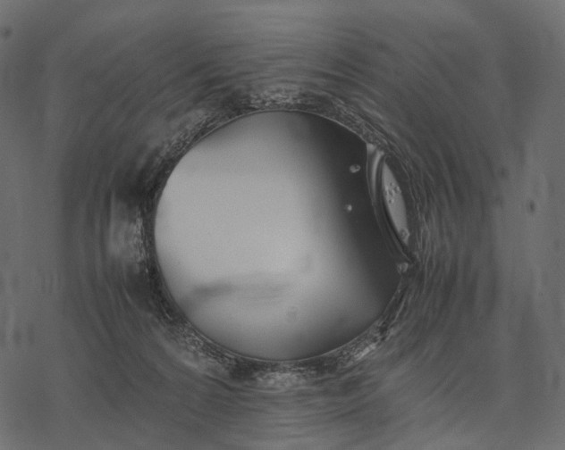 X0000077330224200611031738