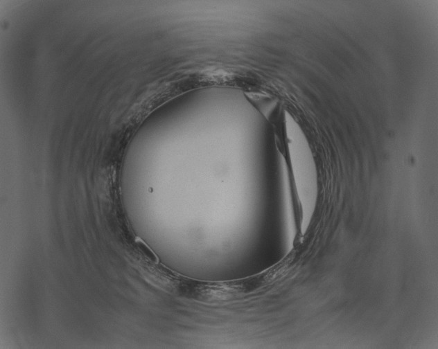 X0000077330229200611031738