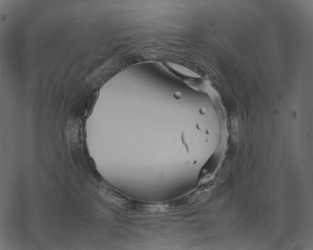 X0000077330233200611031738