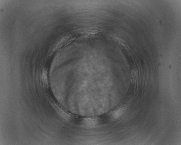 X0000077330238200611031738