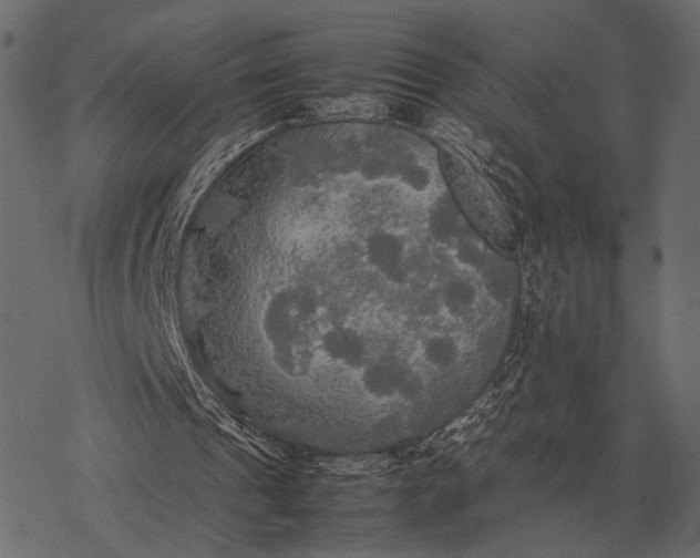 X0000077330241200611031737