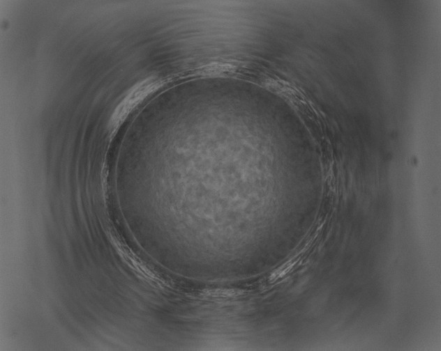 X0000077330242200611031737