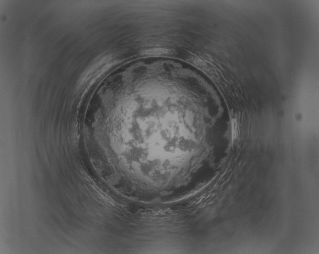X0000077330243200611031737