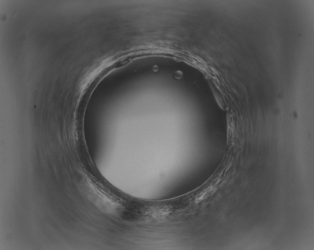 X0000077330248200611031737