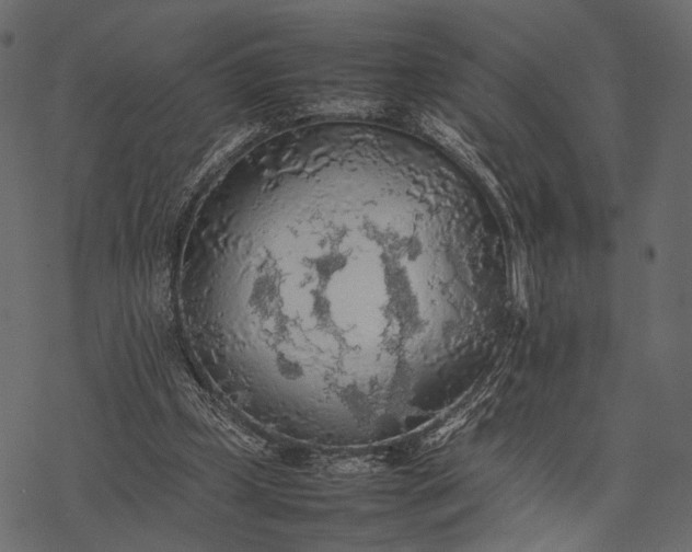 X0000077330249200611031738