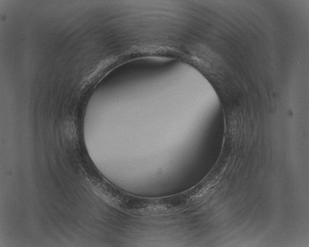 X0000077330256200611031738